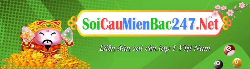 soi cau 247